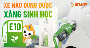 Xe nào dùng được xăng sinh học E10?