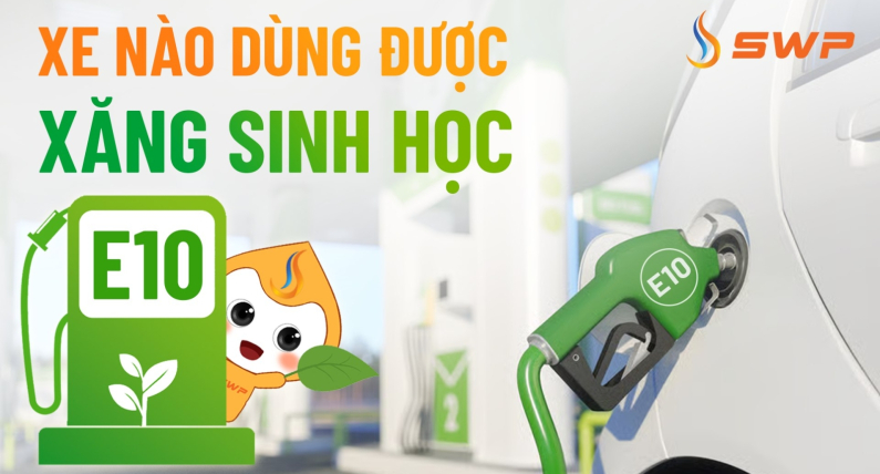 Xe nào dùng được xăng sinh học E10?